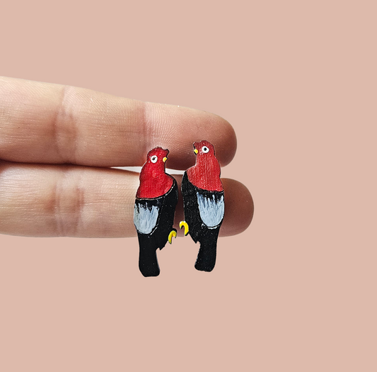 Gallito Stud
