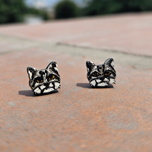 Gato andino Stud